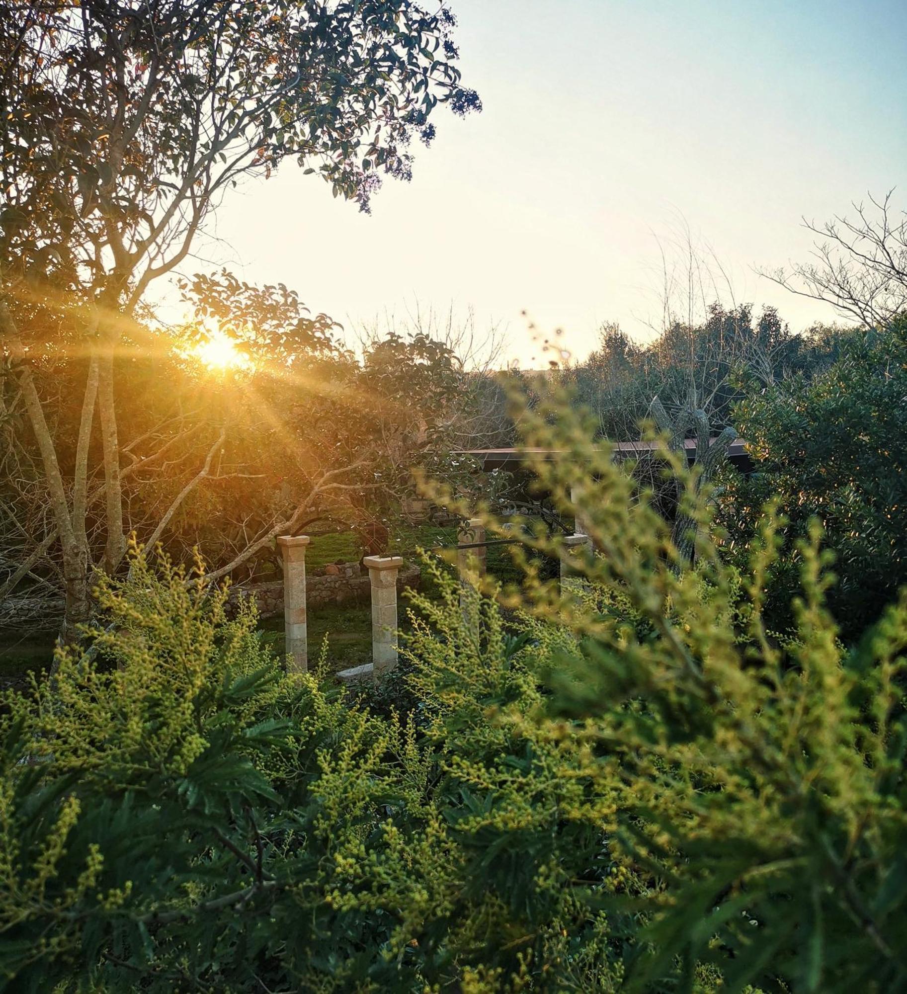 Masseria Borgo Del Gallo Tricase Eksteriør billede
