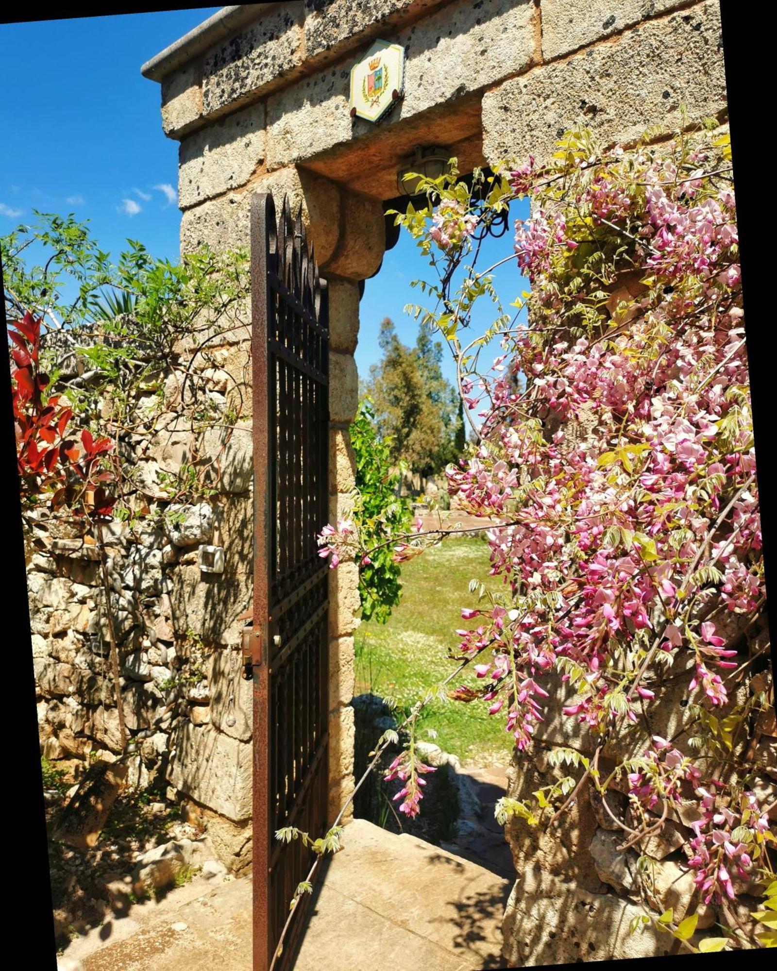 Masseria Borgo Del Gallo Tricase Eksteriør billede